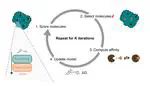 Accelerating ligand discovery by combining Bayesian optimization with MMGBSA-based binding affinity calculations